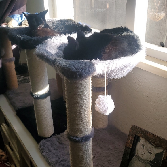 Meet your Posher, Emily - Picture 4 of 5